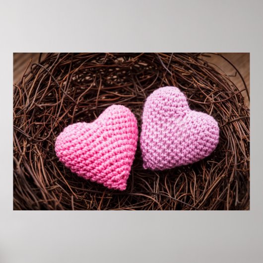 Nesten met hart poster (Voorkant)