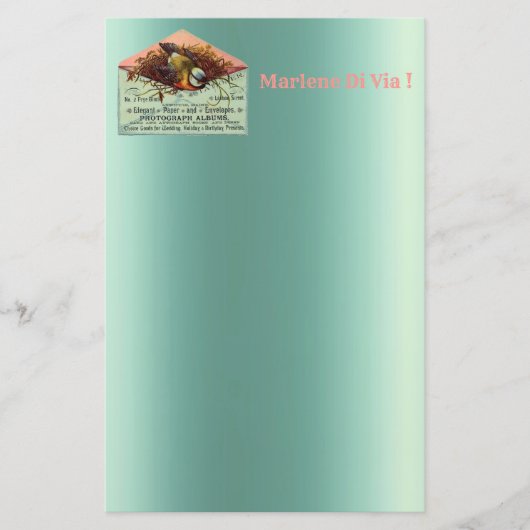  nestende vogelbenodigdheden briefpapier (Voorkant)