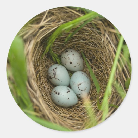Nestful van eieren ronde sticker (Voorkant)