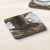 Nesting Bald Eagle Bier Onderzetter (Linkerzijde)