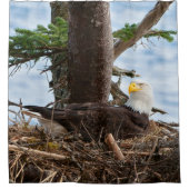 Nesting Bald Eagle Douchegordijn (Voorkant)