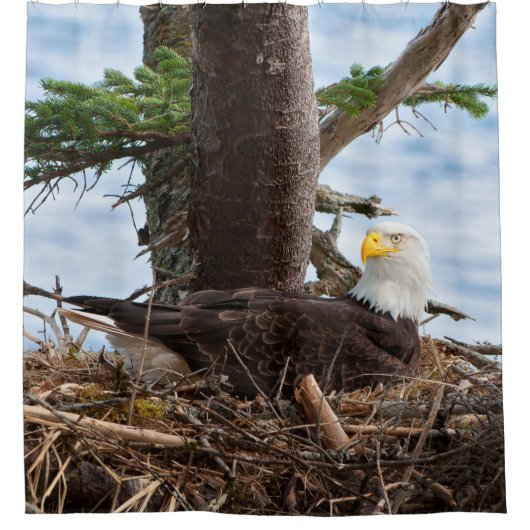 Nesting Bald Eagle Douchegordijn (Voorkant)