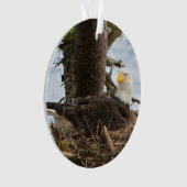 Nesting Bald Eagle Ornament (voorkant)