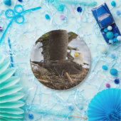 Nesting Bald Eagle Papieren Bordje (Feest)