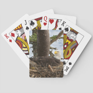 Nesting Bald Eagle Pokerkaarten