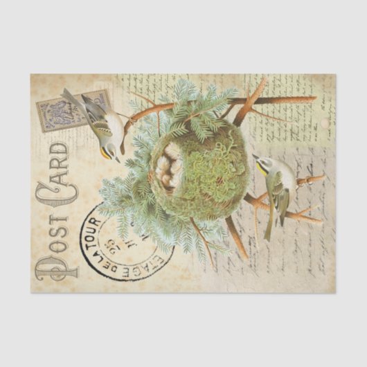 Nesting Bird Briefkaart Tissuepapier (Voorkant)