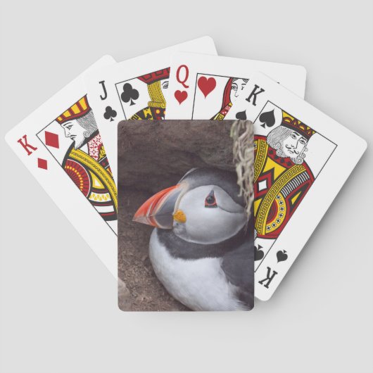 Nesting Puffin Speelkaarten (Achterkant)