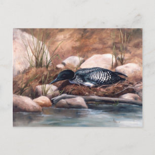 Nesting Time Loon Briefkaart