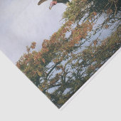 Nesting Vultures Tissuepapier (Detail)