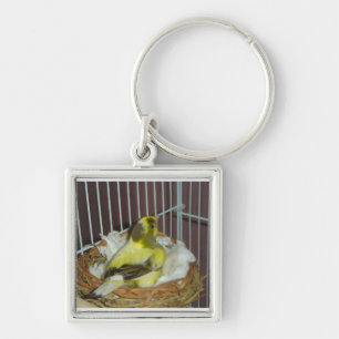 Nestkanarie Sleutelhanger