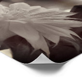 Nestled Clematis Flower Zwart-wit Poster (Hoek)