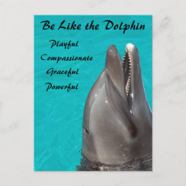 Net als het Briefkaart van de Dolphin