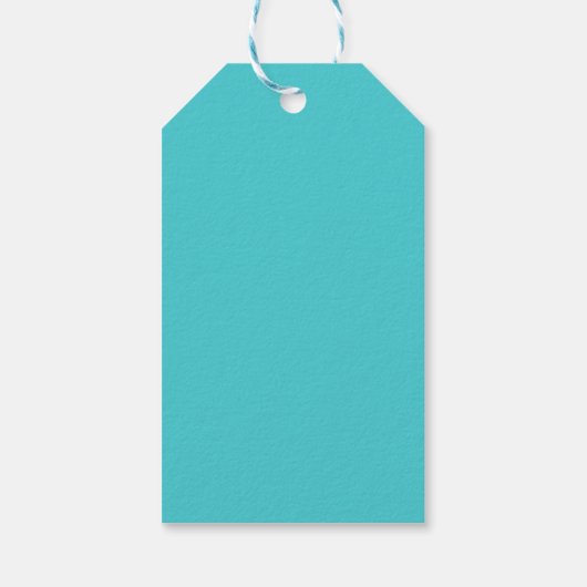 Net getrouwd" Bruiloft Blauw Turquoise bruid bruid Cadeaulabel (Achterkant)