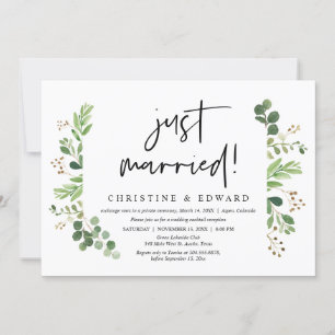 Net Getrouwd, Trouw Elopement Feest Kaart