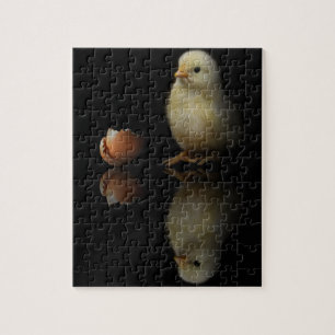 Net Hatched Chick Legpuzzel
