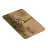 Net toen de rups dacht aan de Magneet (Rechterzijde)