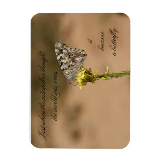 Net toen de rups dacht aan de Magneet