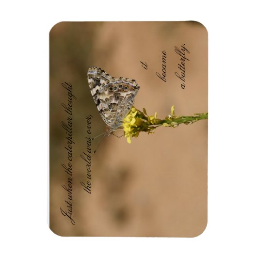 Net toen de rups dacht aan de Magneet (Verticaal)