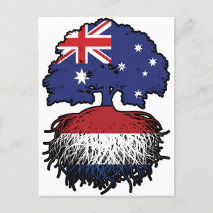 Netherlands Dutch Australian Tree Roots Briefkaart