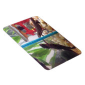 Netten die de magneet bereiken (Rechterzijde)