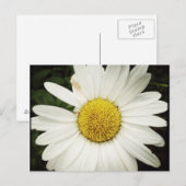 NettieMade Daisy Briefkaart (Voorkant / Achterkant)