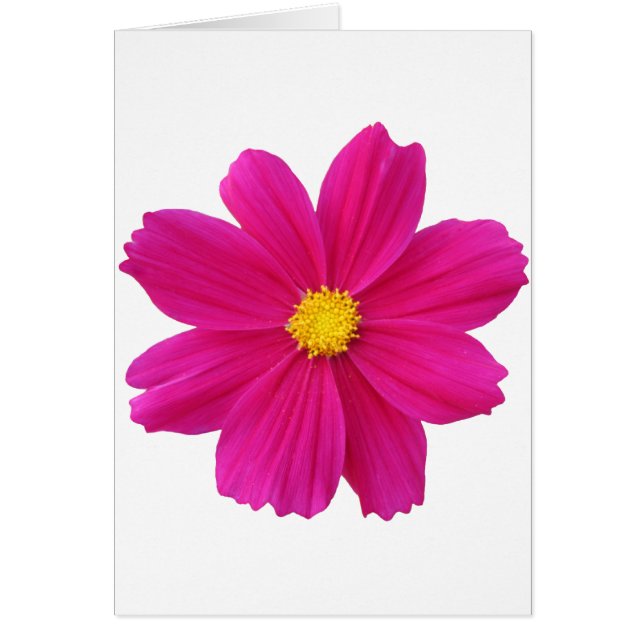 Nettoyer.png (Devant)