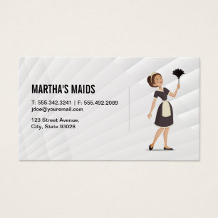 Nettoyeur domestique avec duster