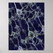 Netwerk Poster (Voorkant)