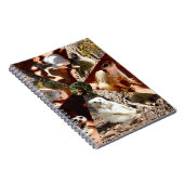 Neuf Triangles Meerkat, Carnet (Côté Droit)