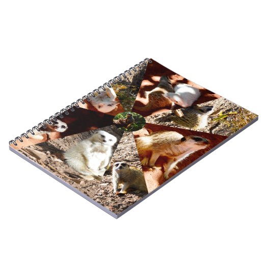 Neuf Triangles Meerkat, Carnet (Côté gauche)