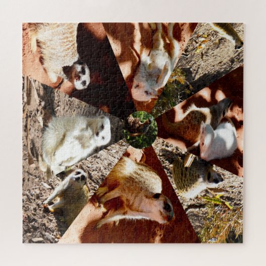 Neuf Triangles Meerkat, Puzzle (Horizontal)