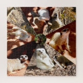 Neuf Triangles Meerkat, Puzzle (Vertical)