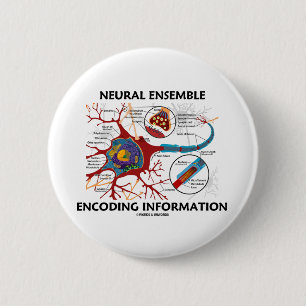 Neurale Ensemble Encoding Information (Neuron) Ronde Button 5,7 Cm