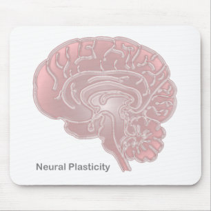 Neurale plasticiteit muismat