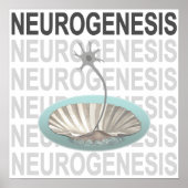 Neurogenese Poster (Voorkant)