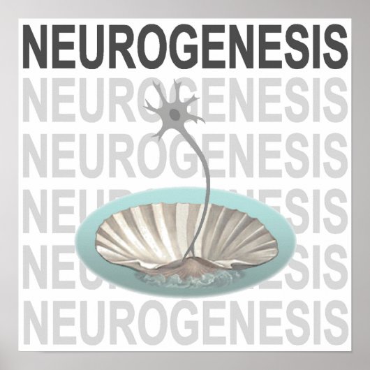 Neurogenese Poster (Voorkant)