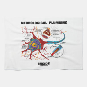 Neurologische leidingen in de binnenzijde (Neuron/ Theedoek