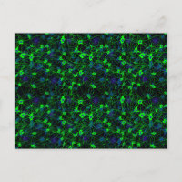 Neuron City Briefkaart