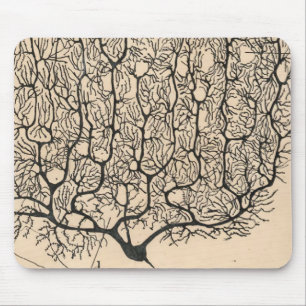 Neuron door Santiago Ramón y Cajal Muismat