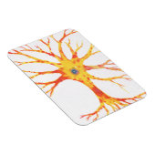 Neuron Magneet (Rechterzijde)