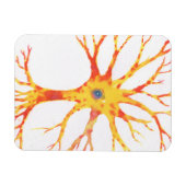 Neuron Magneet (Horizontaal)
