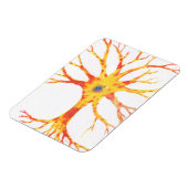 Neuron Magneet (Linkerzijde)