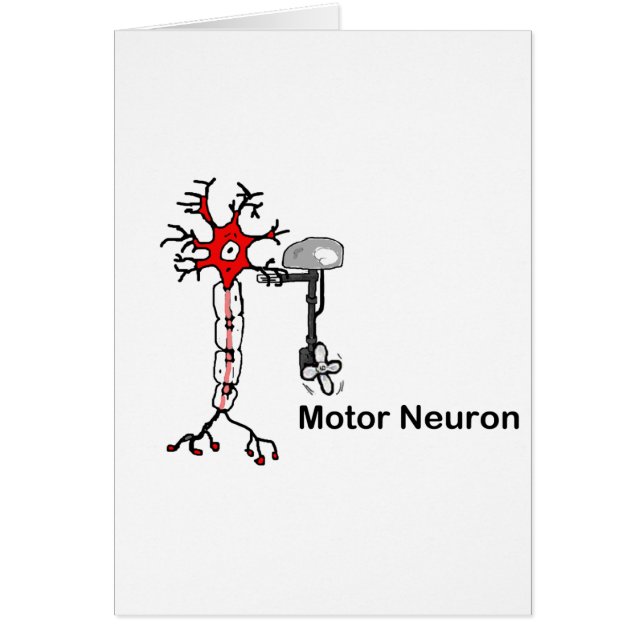 Neuron moteur (Devant)