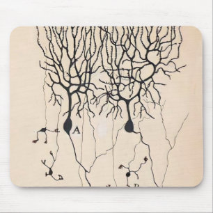  Neuron-tekening door Santiago Ramón y Cajal Muismat