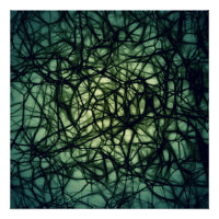 Neuronen