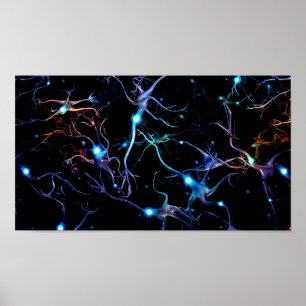 Neuronen Poster