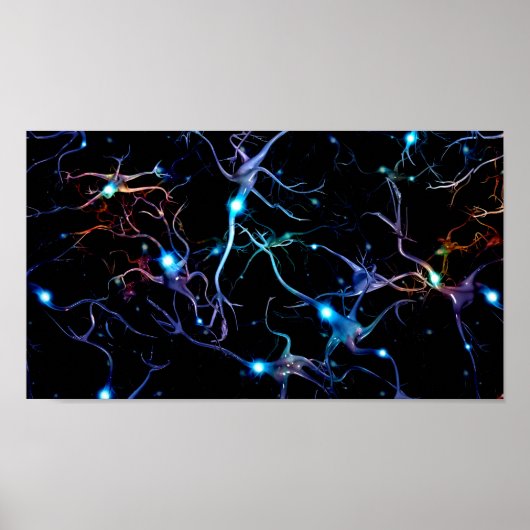 Neuronen Poster (Voorkant)