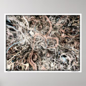 Neuronen Poster (Voorkant)