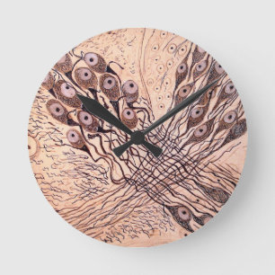 Neuronen van Cajal 1 Ronde Klok