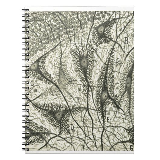 Neuronen van Cajal 4 Notitieboek (Voorkant)
